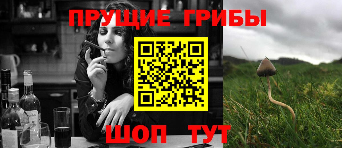 Клин  Псилоцибиновые грибы Psilocybine cubensis  магазин  наркотиков  Вход с VPN 